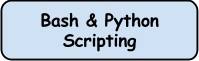 bash & python